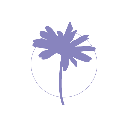 Ringelblumen Extrakt